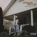 Morgan Wallen - One Thing At A Time (Vinyl)Opens in a new window or tab